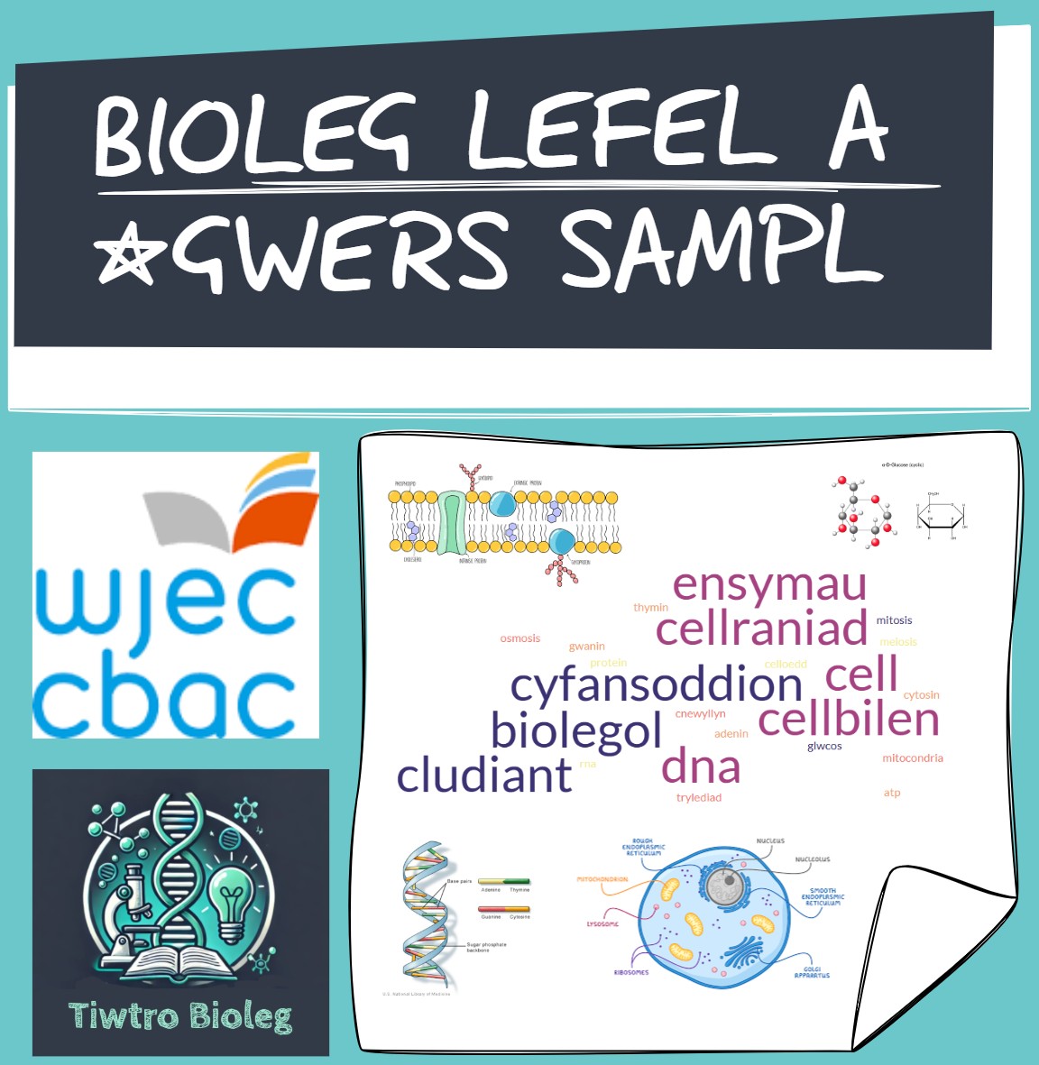 **SAMPL** – Lefel A Bioleg CBAC Uned 1&2 (AS)