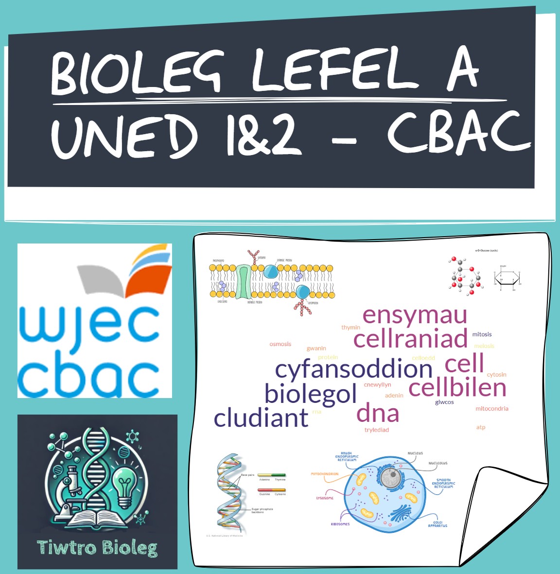 Lefel A Bioleg CBAC Uned 1&2 (AS)